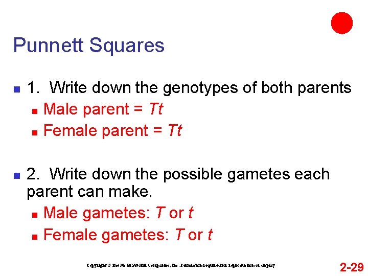 Punnett Squares n n 1. Write down the genotypes of both parents n Male