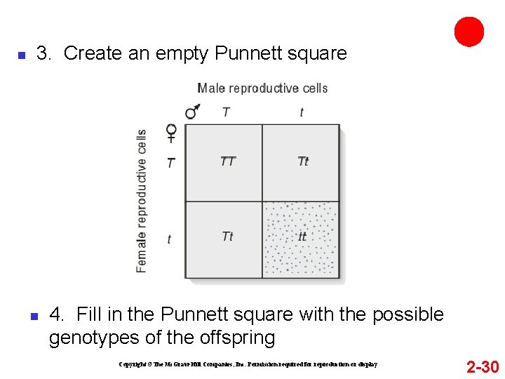 n 3. Create an empty Punnett square n 4. Fill in the Punnett square