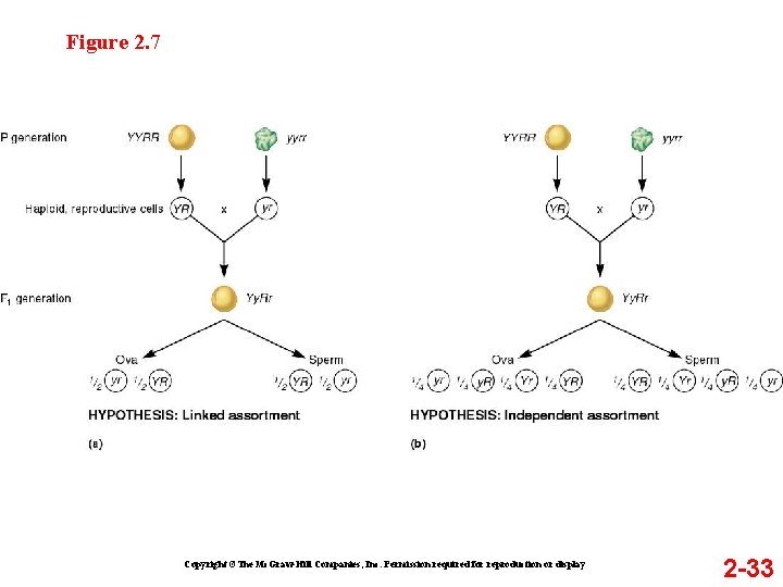 Figure 2. 7 Copyright ©The Mc. Graw-Hill Companies, Inc. Permission required for reproduction or