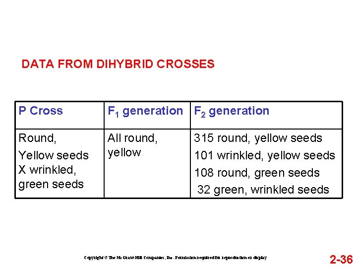 DATA FROM DIHYBRID CROSSES P Cross F 1 generation F 2 generation Round, Yellow