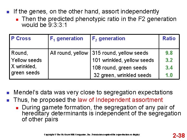 n n n If the genes, on the other hand, assort independently n Then