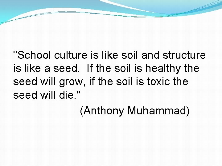 "School culture is like soil and structure is like a seed. If the soil