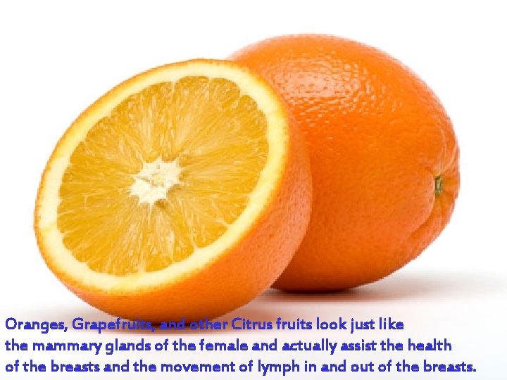 Oranges, Grapefruits, and other Citrus fruits look just like the mammary glands of the