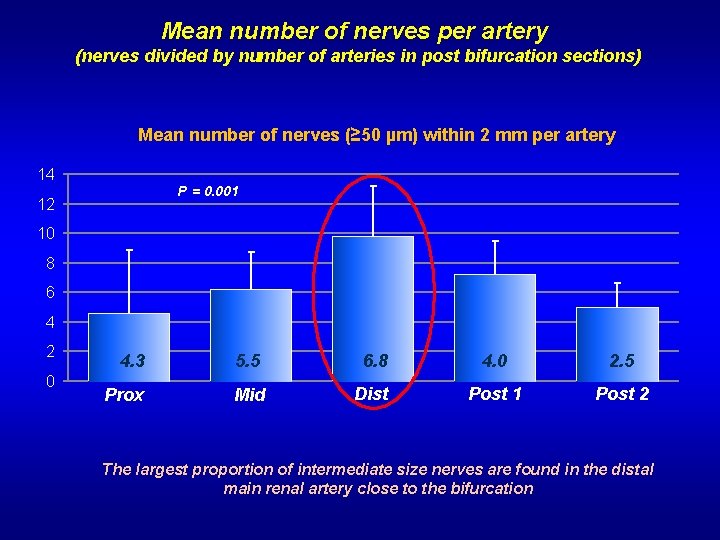 Mean number of nerves per artery (nerves divided by number of arteries in post