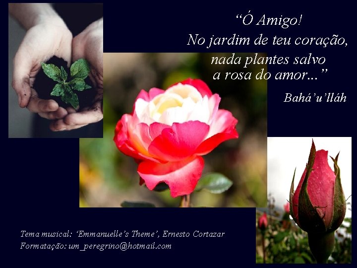 “Ó Amigo! No jardim de teu coração, nada plantes salvo a rosa do amor.