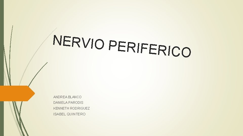 NERVIO PE R ANDREA BLANCO DANIELA PARODIS KENNETH RODRIGUEZ ISABEL QUINTERO IFERICO 
