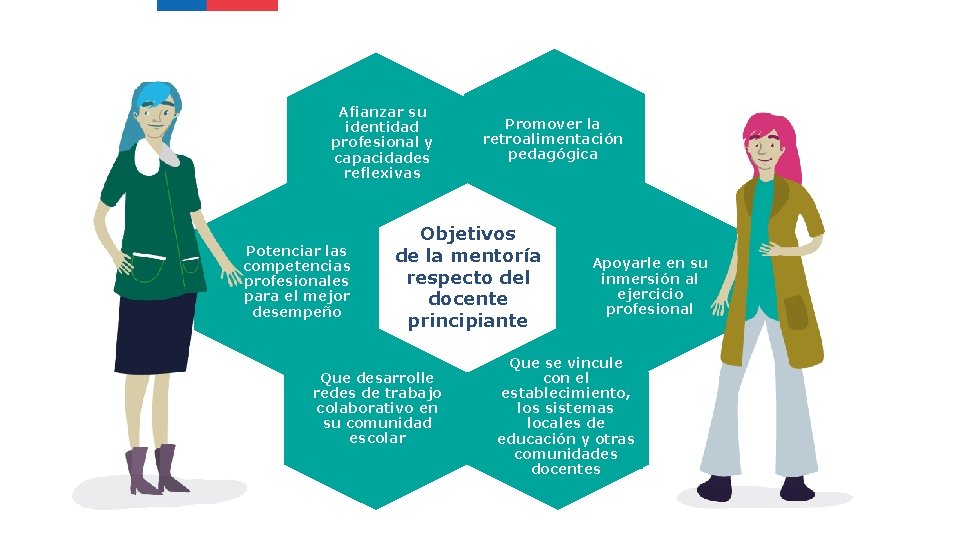 Afianzar su identidad profesional y capacidades reflexivas Potenciar las competencias profesionales para el mejor