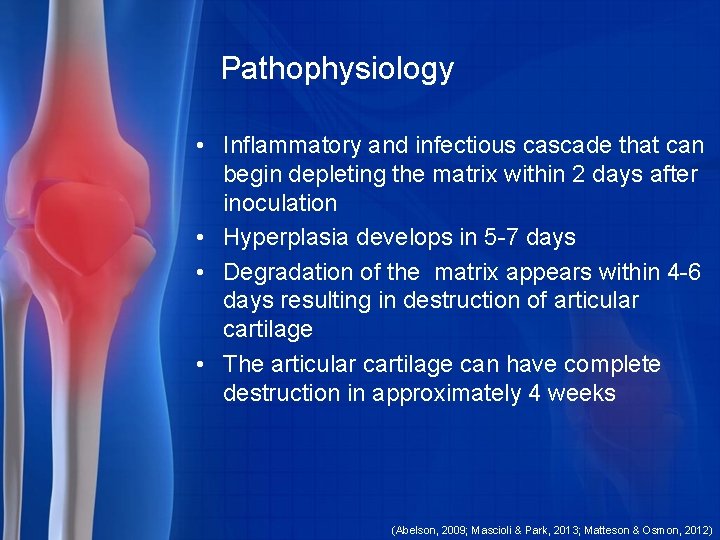 Pathophysiology • Inflammatory and infectious cascade that can begin depleting the matrix within 2