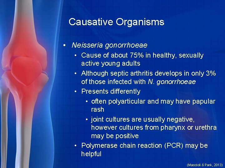 Causative Organisms • Neisseria gonorrhoeae • Cause of about 75% in healthy, sexually active