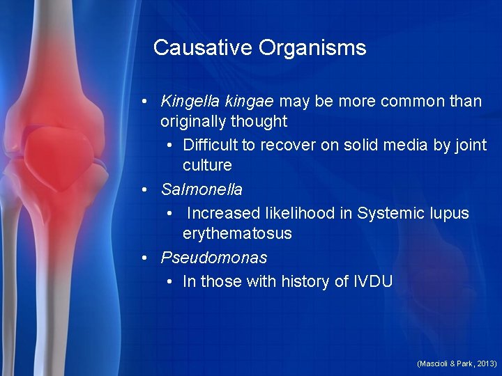 Causative Organisms • Kingella kingae may be more common than originally thought • Difficult