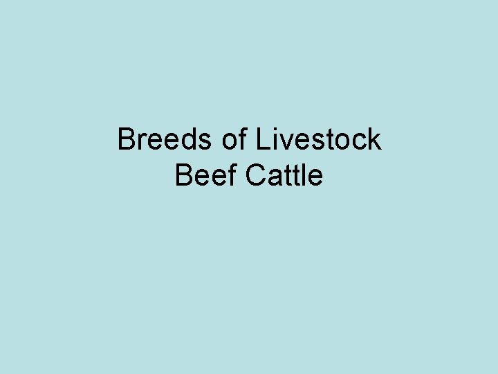 Breeds of Livestock Beef Cattle 