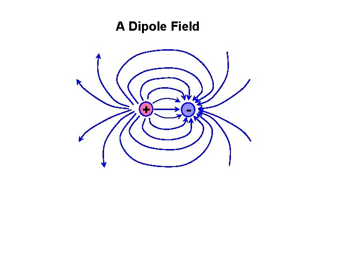 A Dipole Field + - 