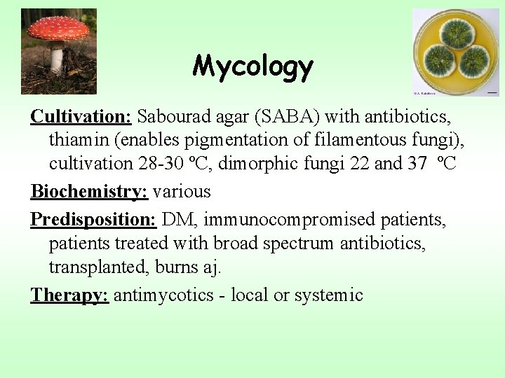 Mycology Cultivation: Sabourad agar (SABA) with antibiotics, thiamin (enables pigmentation of filamentous fungi), cultivation