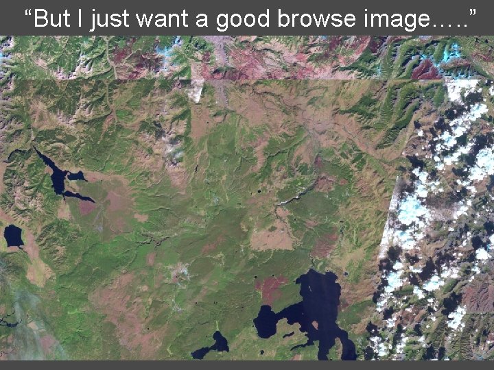 “But I just want a good browse image…. . ” 