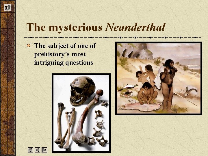 The mysterious Neanderthal The subject of one of prehistory’s most intriguing questions 