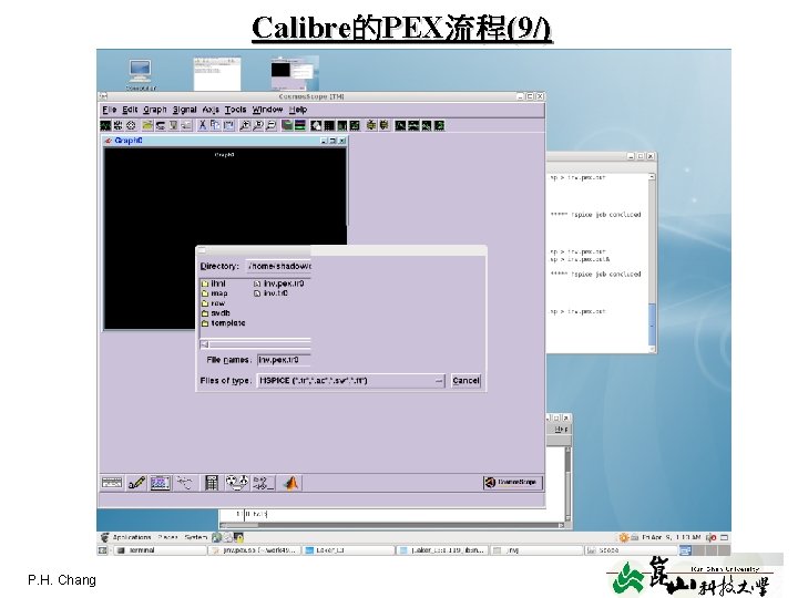 Calibre的PEX流程(9/) P. H. Chang layout 10 