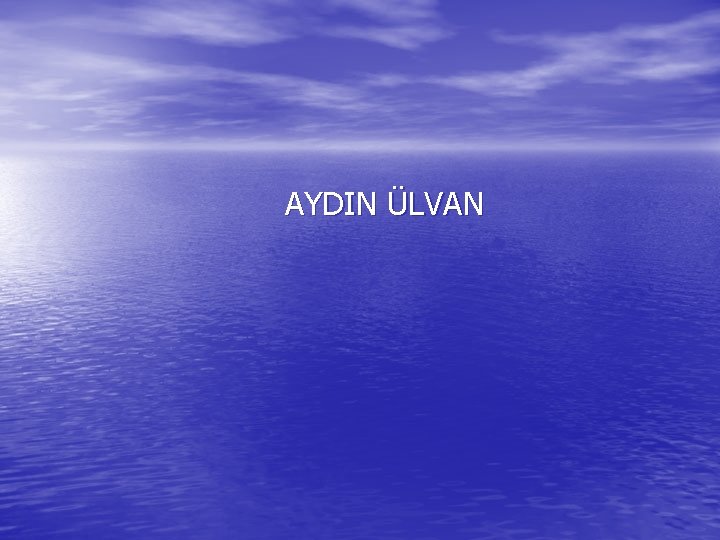  AYDIN ÜLVAN 