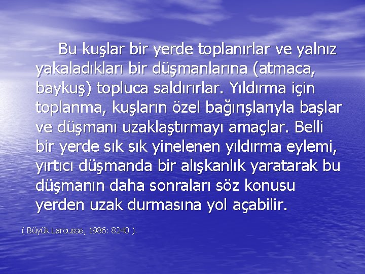 Bu kuşlar bir yerde toplanırlar ve yalnız yakaladıkları bir düşmanlarına (atmaca, baykuş) topluca saldırırlar.