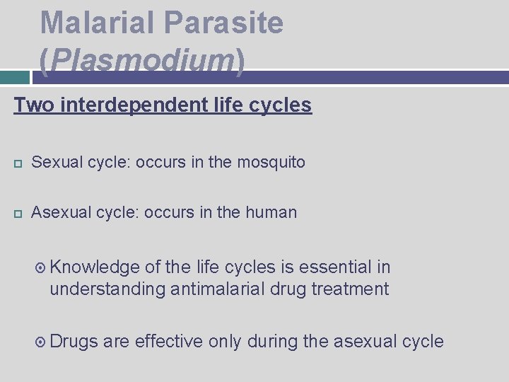 Malarial Parasite (Plasmodium) Two interdependent life cycles Sexual cycle: occurs in the mosquito Asexual