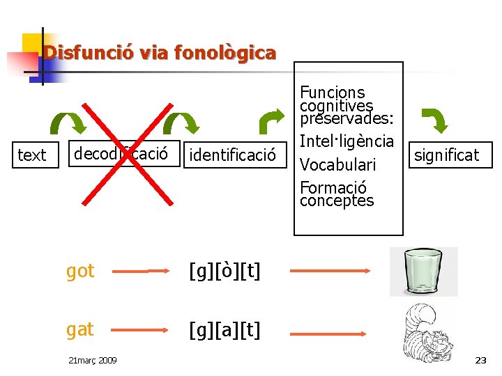 Disfunció via fonològica text decodificació identificació got [g][ò][t] gat [g][a][t] 21 març 2009 Funcions