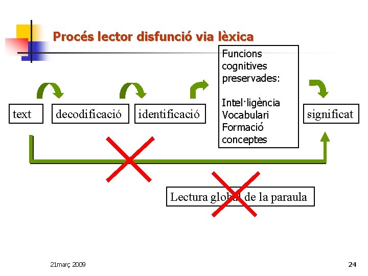 Procés lector disfunció via lèxica Funcions cognitives preservades: text decodificació identificació Intel·ligència Vocabulari Formació