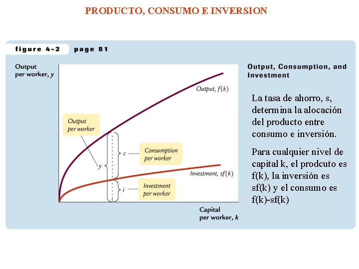 PRODUCTO, CONSUMO E INVERSION La tasa de ahorro, s, determina la alocación del producto