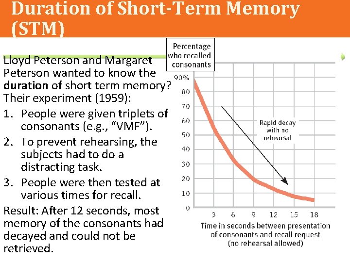 Duration of Short-Term Memory (STM) Lloyd Peterson and Margaret Peterson wanted to know the