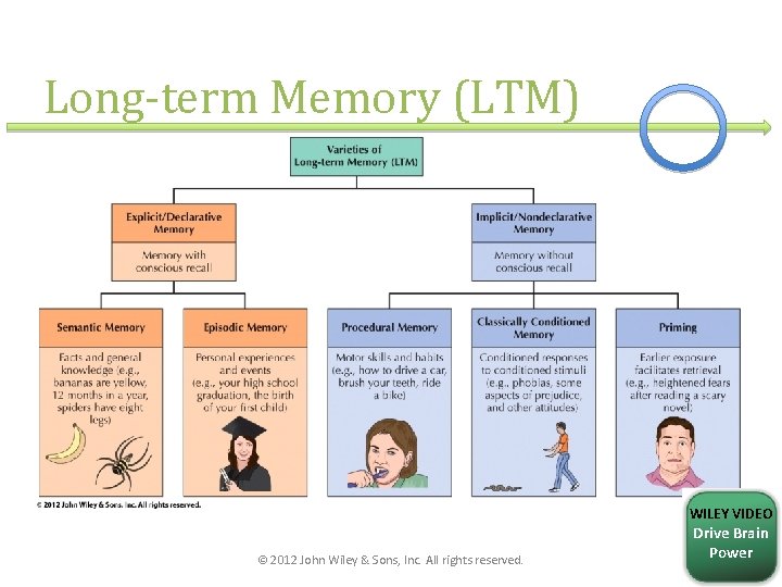 Long-term Memory (LTM) WILEY VIDEO © 2012 John Wiley & Sons, Inc. All rights