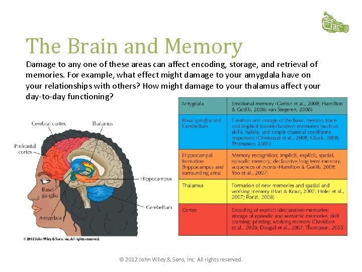 The Brain and Memory Damage to any one of these areas can affect encoding,