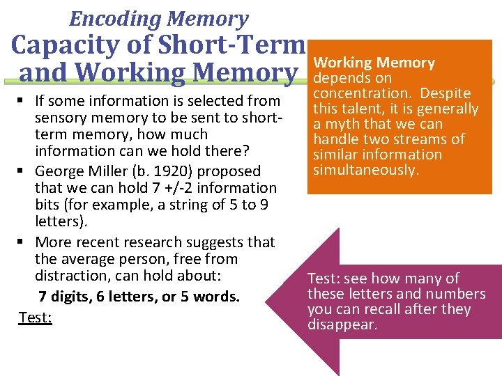 Encoding Memory Capacity of Short-Term Working Memory and Working Memory depends on § If