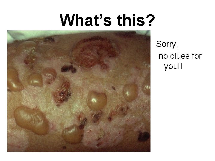 What’s this? Sorry, no clues for you!! 