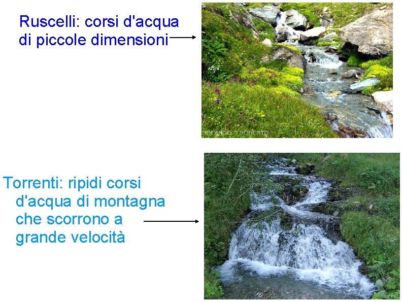 Ruscelli: corsi d'acqua di piccole dimensioni Torrenti: ripidi corsi d'acqua di montagna che scorrono