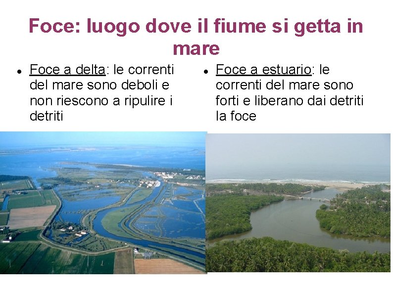 Foce: luogo dove il fiume si getta in mare Foce a delta: le correnti