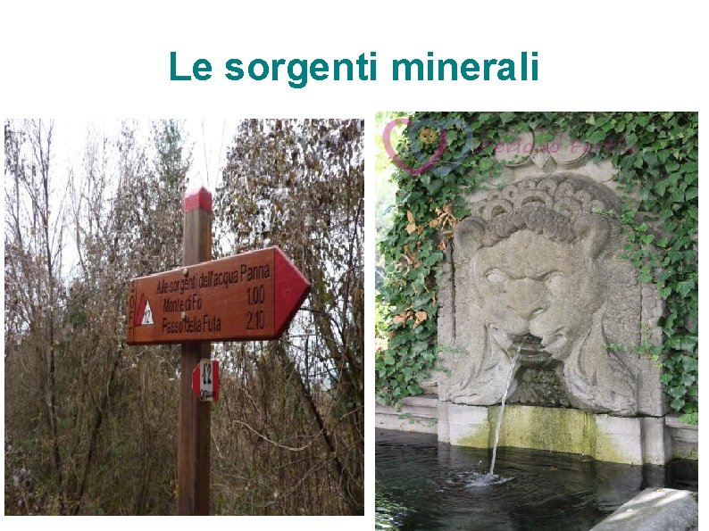 Le sorgenti minerali 