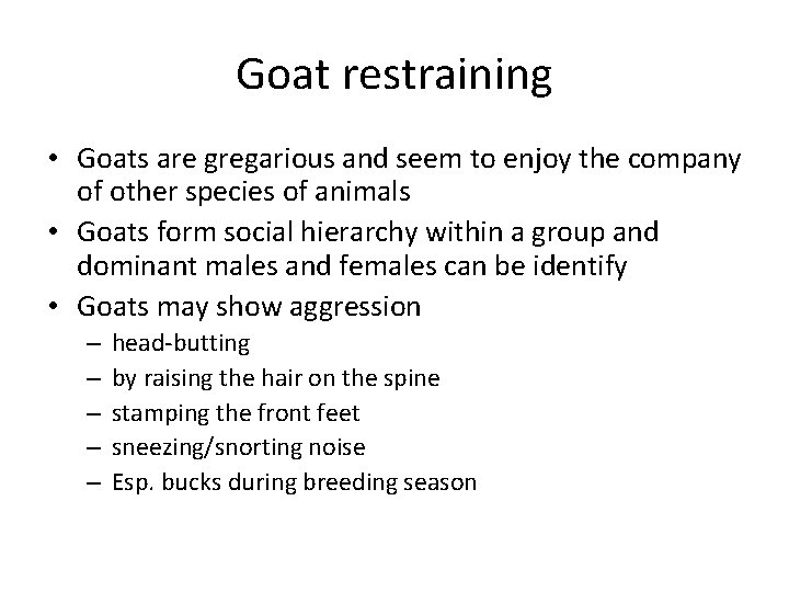 Goat restraining • Goats are gregarious and seem to enjoy the company of other Goat restraining • Goats are gregarious and seem to enjoy the company of other