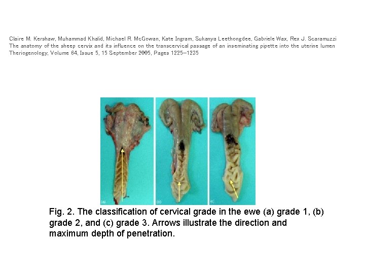 Claire M. Kershaw, Muhammad Khalid, Michael R. Mc. Gowan, Kate Ingram, Sukanya Leethongdee, Gabriele Claire M. Kershaw, Muhammad Khalid, Michael R. Mc. Gowan, Kate Ingram, Sukanya Leethongdee, Gabriele