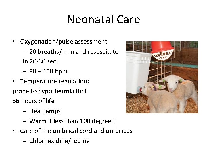 Neonatal Care • Oxygenation/pulse assessment – 20 breaths/ min and resuscitate in 20 -30 Neonatal Care • Oxygenation/pulse assessment – 20 breaths/ min and resuscitate in 20 -30