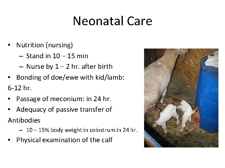 Neonatal Care • Nutrition (nursing) – Stand in 10 – 15 min – Nurse Neonatal Care • Nutrition (nursing) – Stand in 10 – 15 min – Nurse