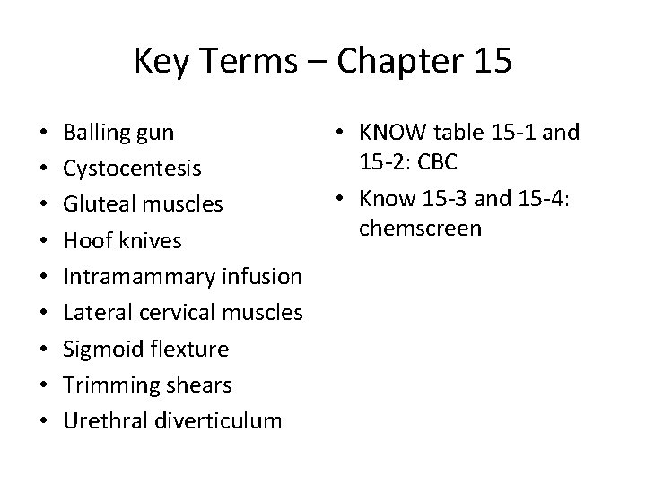 Key Terms – Chapter 15 • • • Balling gun Cystocentesis Gluteal muscles Hoof Key Terms – Chapter 15 • • • Balling gun Cystocentesis Gluteal muscles Hoof