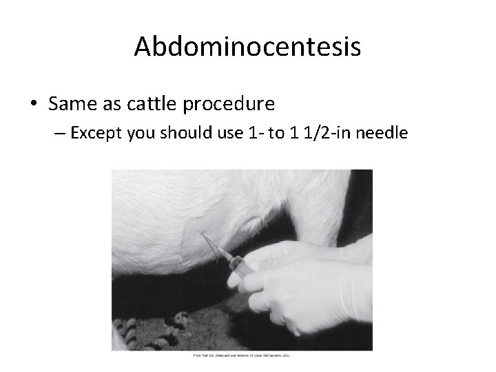 Abdominocentesis • Same as cattle procedure – Except you should use 1 - to Abdominocentesis • Same as cattle procedure – Except you should use 1 - to