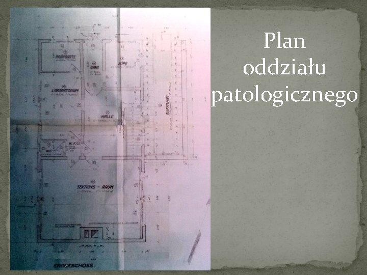 Plan oddziału patologicznego 