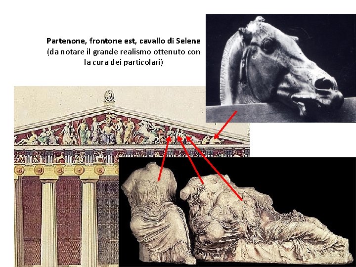 Partenone, frontone est, cavallo di Selene (da notare il grande realismo ottenuto con la