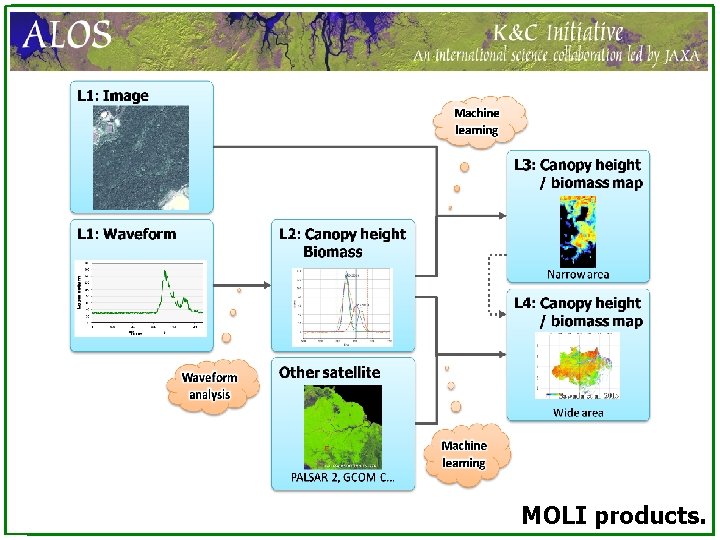 MOLI products. 