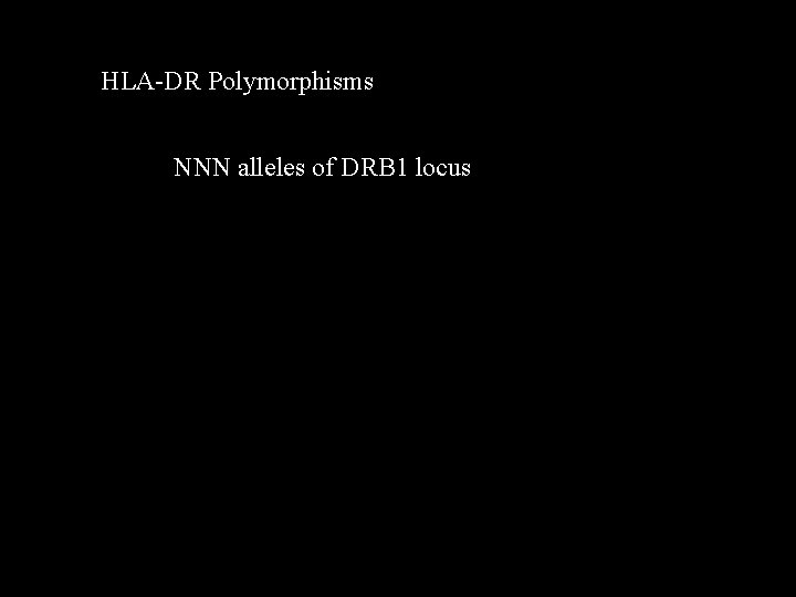 HLA-DR Polymorphisms NNN alleles of DRB 1 locus 