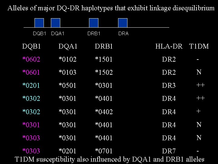 Alleles of major DQ-DR haplotypes that exhibit linkage disequilibrium DQB 1 DQA 1 DRB