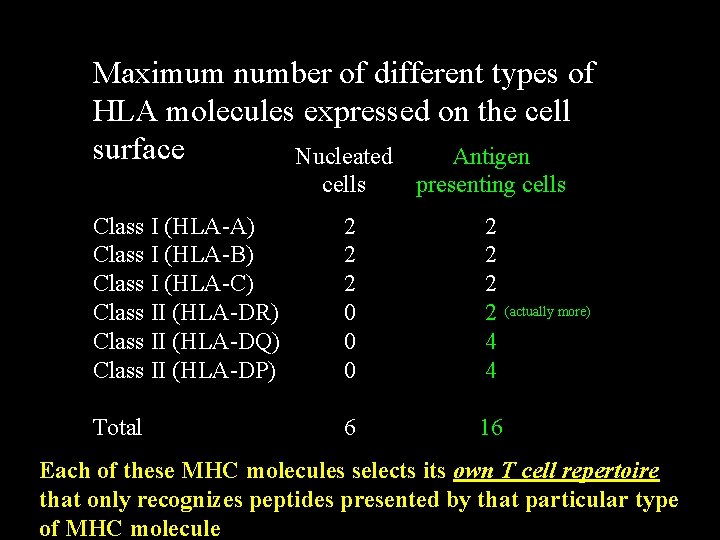 Maximum number of different types of HLA molecules expressed on the cell surface Nucleated