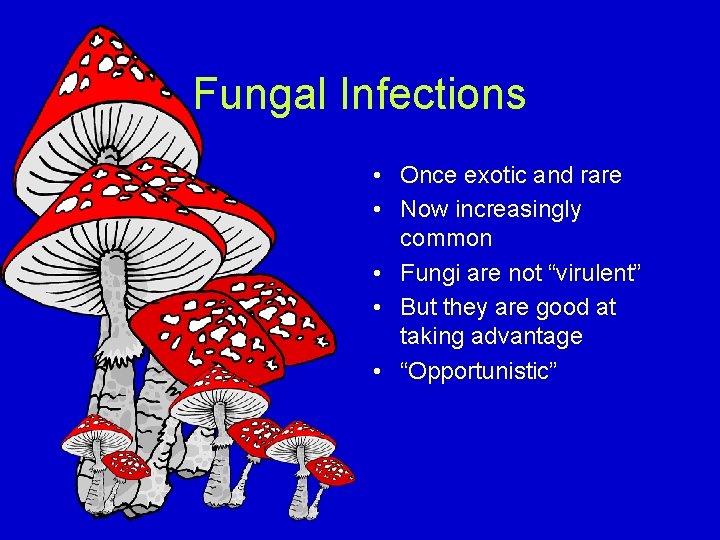 Fungal Infections • Once exotic and rare • Now increasingly common • Fungi are