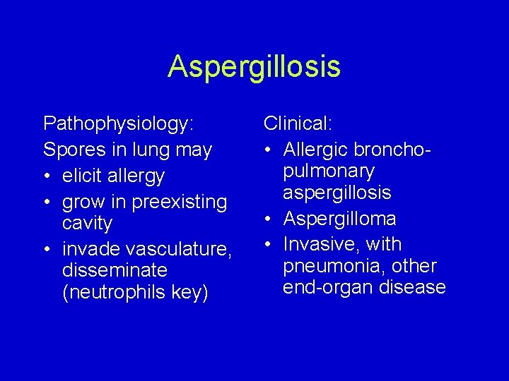 Aspergillosis Pathophysiology: Spores in lung may • elicit allergy • grow in preexisting cavity