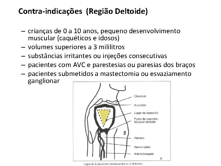 Contra-indicações (Região Deltoide) – crianças de 0 a 10 anos, pequeno desenvolvimento muscular (caquéticos Contra-indicações (Região Deltoide) – crianças de 0 a 10 anos, pequeno desenvolvimento muscular (caquéticos
