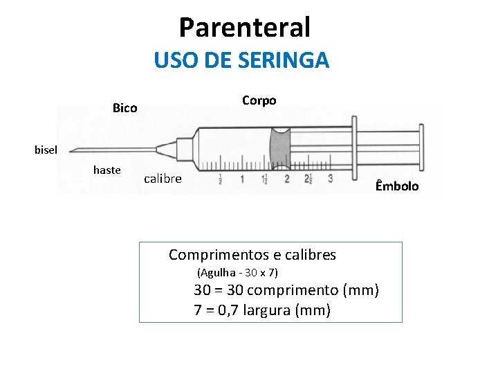 Parenteral USO DE SERINGA Corpo Bico bisel haste calibre Êmbolo Comprimentos e calibres (Agulha Parenteral USO DE SERINGA Corpo Bico bisel haste calibre Êmbolo Comprimentos e calibres (Agulha